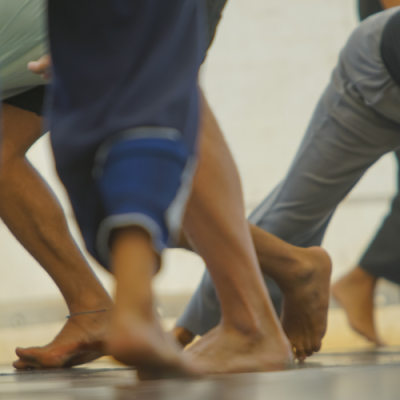 harmonia en moviment Gestalt